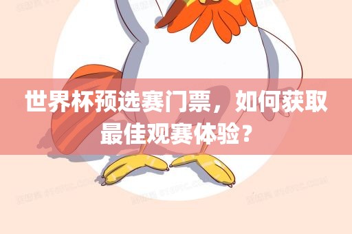 世界杯预选赛门票，如何获取最佳观赛体验？