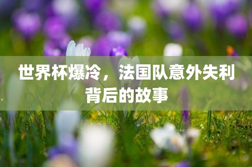 世界杯爆冷，法国队意外失利背后的故事