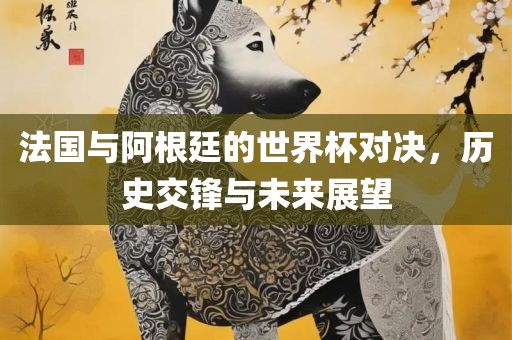 法国与阿根廷的世界杯对决，历史交锋与未来展望