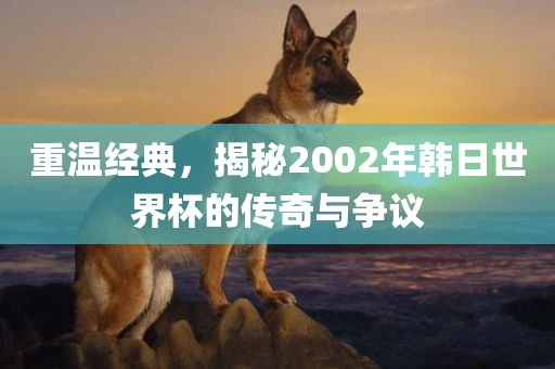 重温经典，揭秘2002年韩日世界杯的传奇与争议