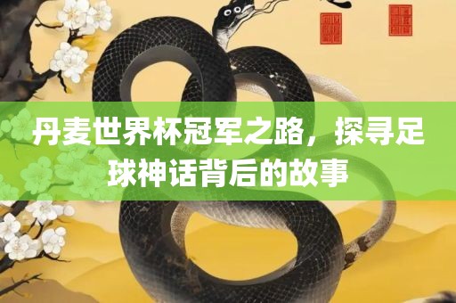丹麦世界杯冠军之路，探寻足球神话背后的故事
