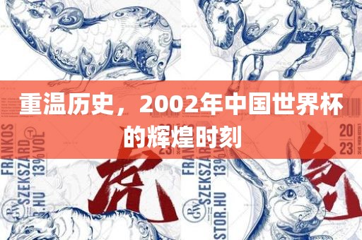 重温历史，2002年中国世界杯的辉煌时刻