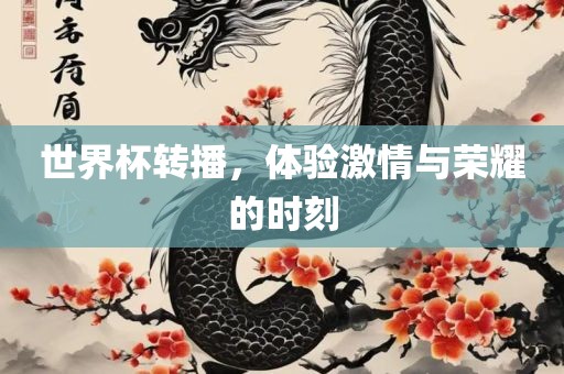 世界杯转播，体验激情与荣耀的时刻