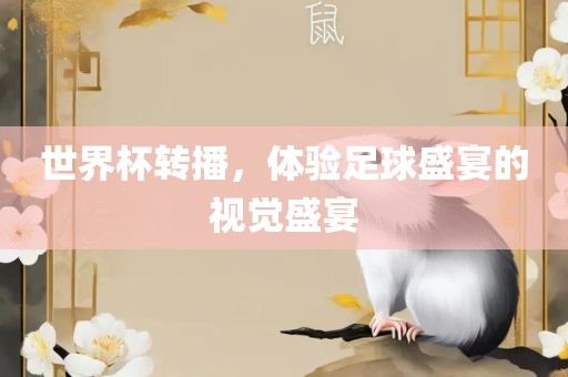 世界杯转播，体验足球盛宴的视觉盛宴