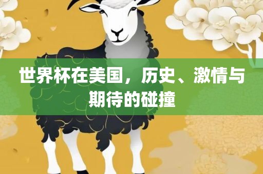 世界杯在美国，历史、激情与期待的碰撞