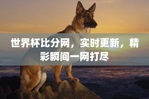 世界杯比分网，实时更新，精彩瞬间一网打尽
