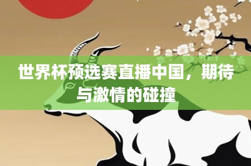 世界杯预选赛直播中国，期待与激情的碰撞