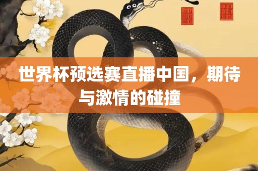 世界杯预选赛直播中国，期待与激情的碰撞