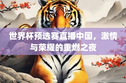 世界杯预选赛直播中国，激情与荣耀的重燃之夜