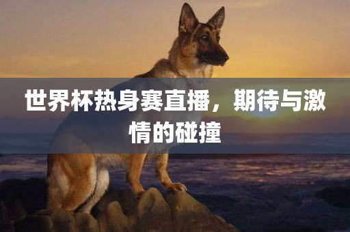 世界杯热身赛直播，期待与激情的碰撞