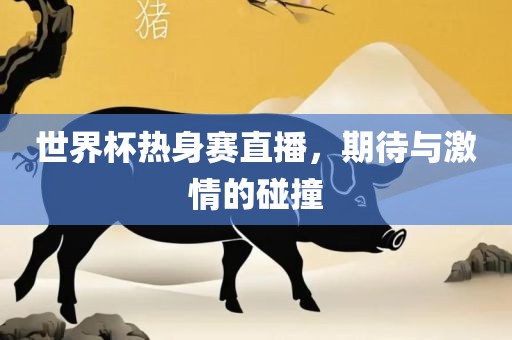 世界杯热身赛直播，期待与激情的碰撞