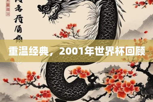 重温经典，2001年世界杯回顾