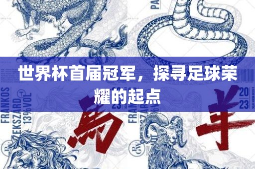 世界杯首届冠军，探寻足球荣耀的起点