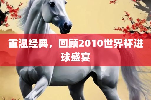 重温经典，回顾2010世界杯进球盛宴