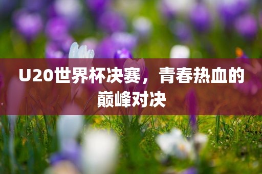 U20世界杯决赛，青春热血的巅峰对决