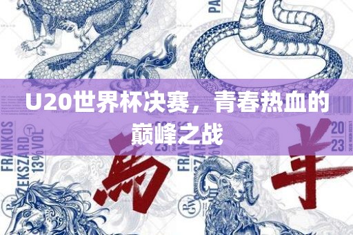 U20世界杯决赛，青春热血的巅峰之战