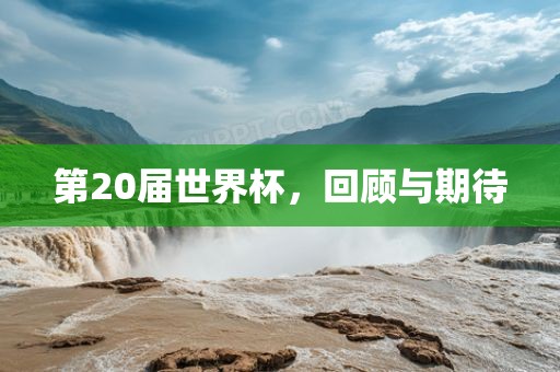第20届世界杯，回顾与期待