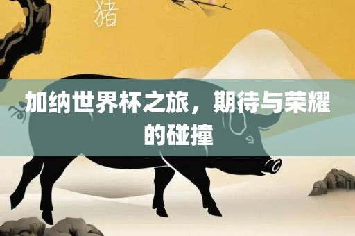 加纳世界杯之旅，期待与荣耀的碰撞