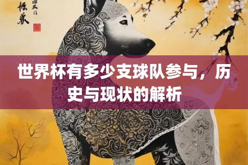 世界杯有多少支球队参与，历史与现状的解析