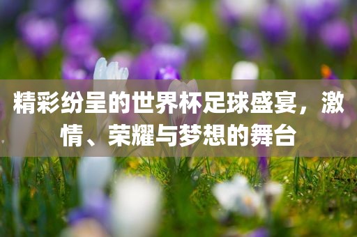 精彩纷呈的世界杯足球盛宴，激情、荣耀与梦想的舞台