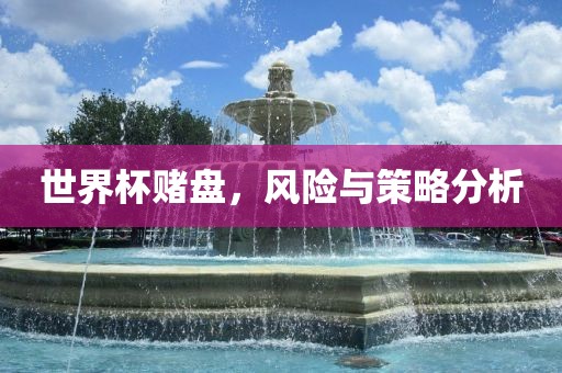 世界杯赌盘，风险与策略分析