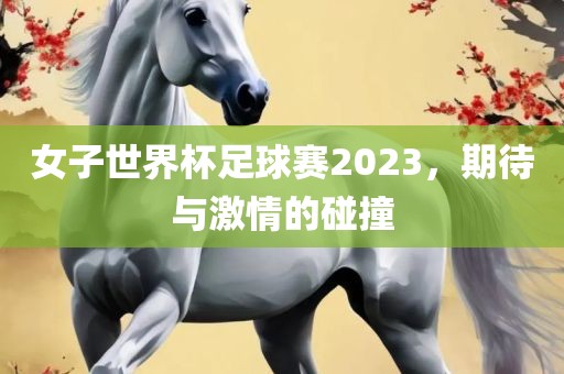 女子世界杯足球赛2023，期待与激情的碰撞