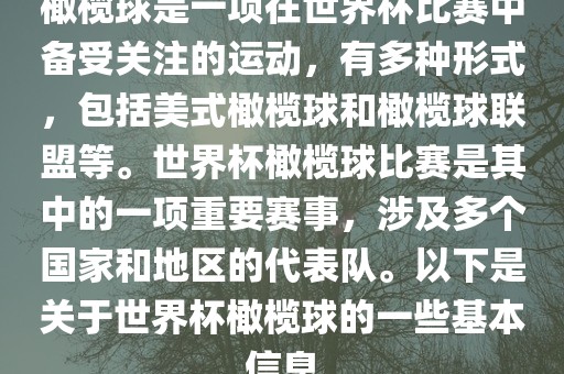 橄榄球是一项在世界杯比赛中备受关注的运动，有多种形式，包括美式橄榄球和橄榄球联盟等。世界杯橄榄球比赛是其中的一项重要赛事，涉及多个国家和地区的代表队。以下是关于世界杯橄榄球的一些基本信息