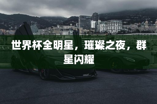 世界杯全明星，璀璨之夜，群星闪耀