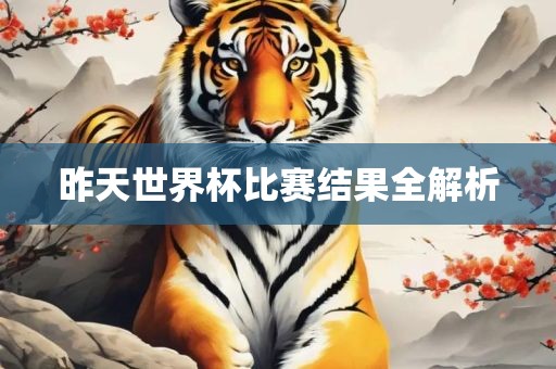 昨天世界杯比赛结果全解析