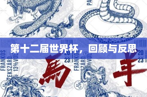第十二届世界杯，回顾与反思