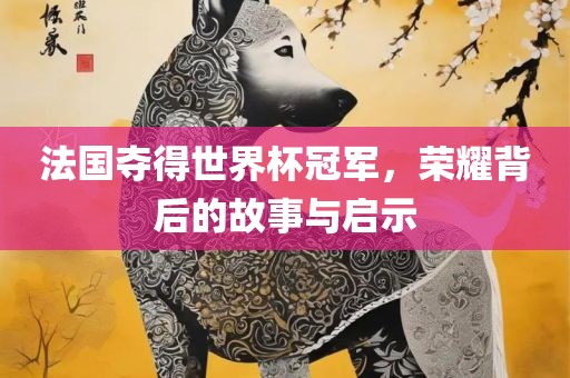 法国夺得世界杯冠军，荣耀背后的故事与启示