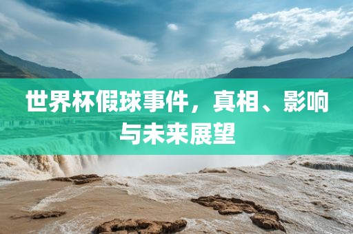 世界杯假球事件，真相、影响与未来展望