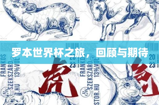 罗本世界杯之旅，回顾与期待