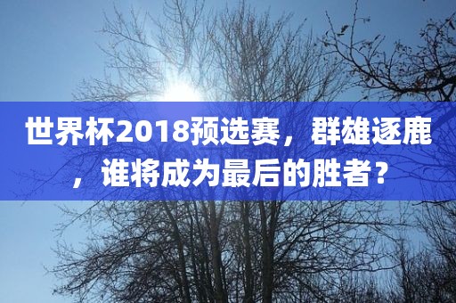 世界杯2018预选赛，群雄逐鹿，谁将成为最后的胜者？