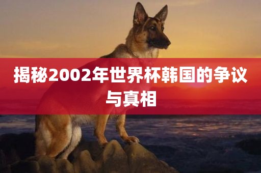 揭秘2002年世界杯韩国的争议与真相