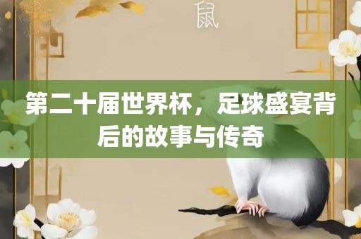 第二十届世界杯，足球盛宴背后的故事与传奇