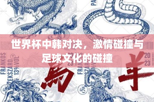 世界杯中韩对决，激情碰撞与足球文化的碰撞