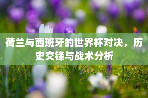 荷兰与西班牙的世界杯对决，历史交锋与战术分析