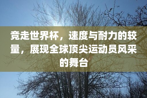 竞走世界杯，速度与耐力的较量，展现全球顶尖运动员风采的舞台