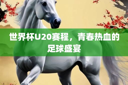 世界杯U20赛程，青春热血的足球盛宴