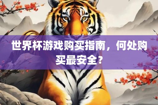 世界杯游戏购买指南，何处购买最安全？