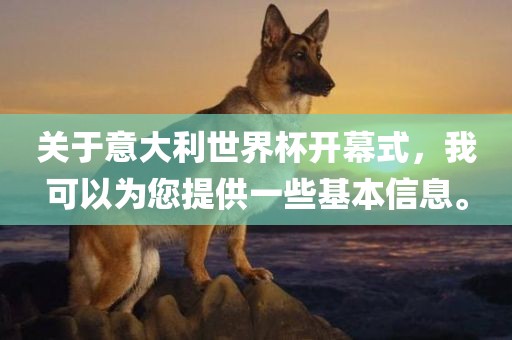 关于意大利世界杯开幕式，我可以为您提供一些基本信息。
