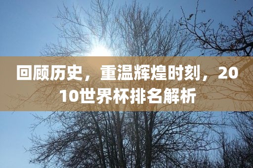 回顾历史，重温辉煌时刻，2010世界杯排名解析