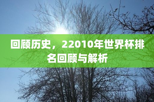 回顾历史，22010年世界杯排名回顾与解析