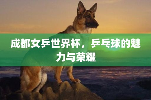 成都女乒世界杯，乒乓球的魅力与荣耀