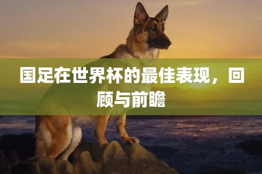 国足在世界杯的最佳表现，回顾与前瞻
