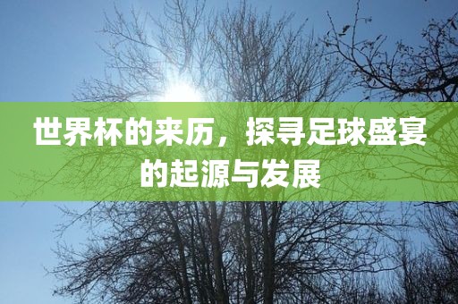 世界杯的来历，探寻足球盛宴的起源与发展