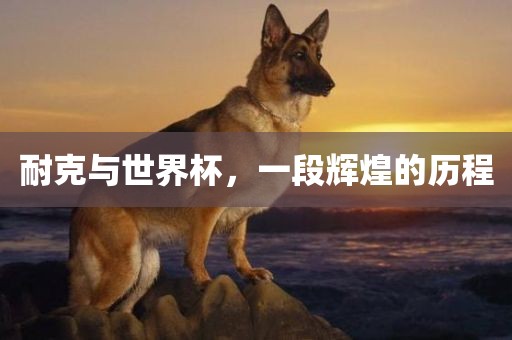 耐克与世界杯，一段辉煌的历程