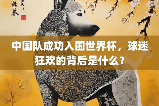 中国队成功入围世界杯，球迷狂欢的背后是什么？