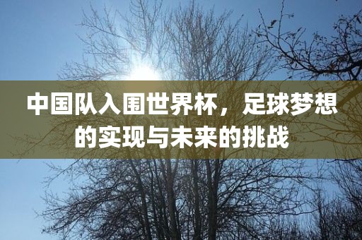 中国队入围世界杯，足球梦想的实现与未来的挑战